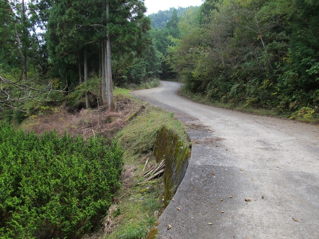 t11_080.jpg