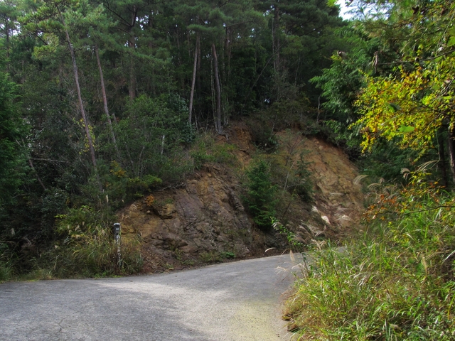 t11_081.jpg