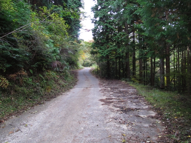 t11_082.jpg
