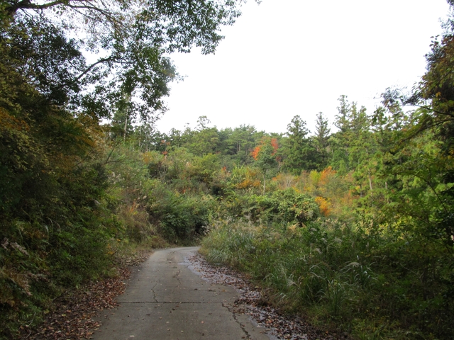 t11_083.jpg