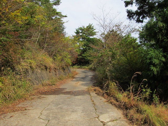 t11_084.jpg
