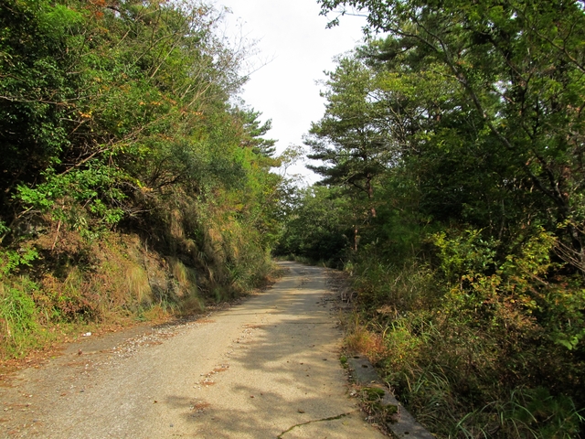 t11_085.jpg