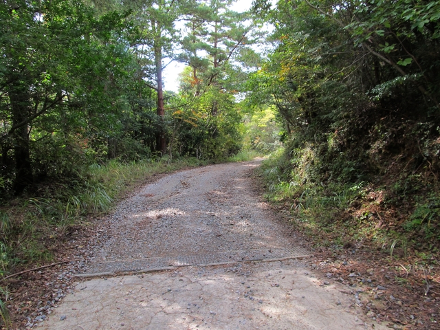 t11_086.jpg