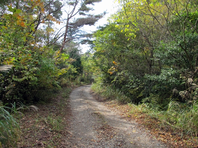 t11_087.jpg
