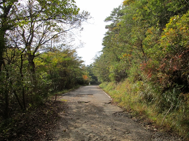 t11_088.jpg