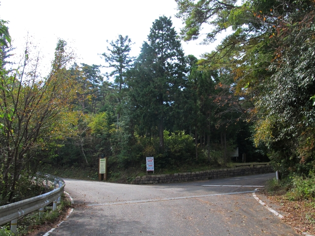 t11_089.jpg