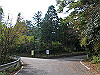 t11_089_thumb.jpg