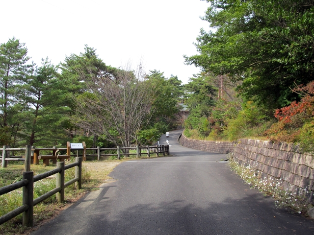 t11_091.jpg