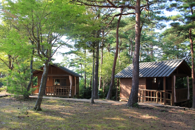 t11_095.jpg