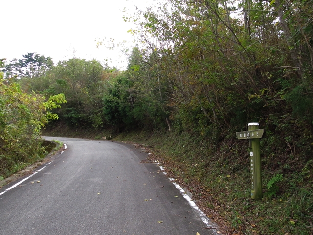 t11_096.jpg