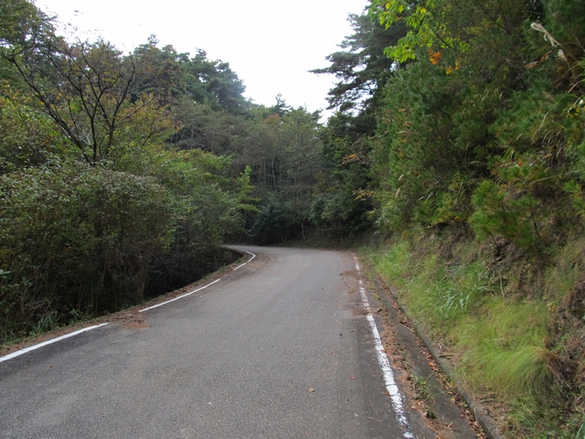 t11_097.jpg