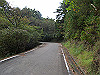 t11_097_thumb.jpg