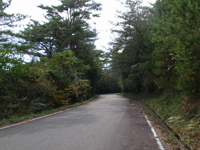 t11_098.jpg