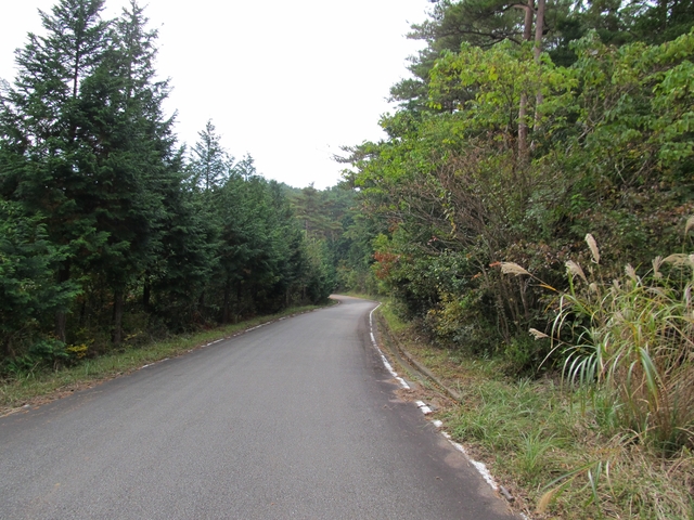 t11_099.jpg