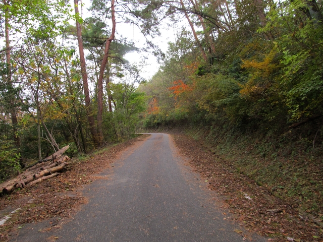 t11_100.jpg