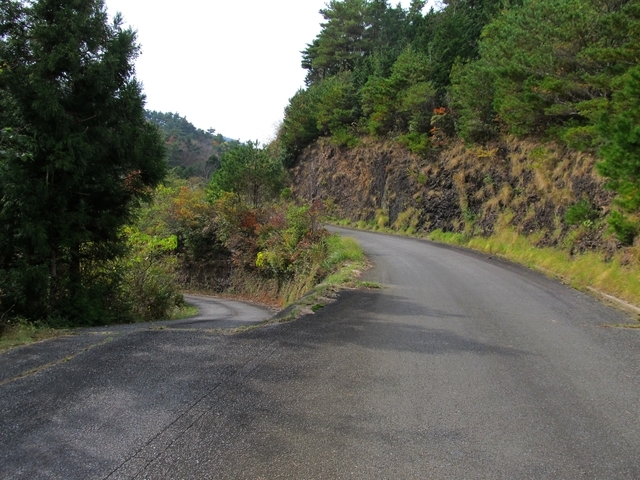t11_102.jpg