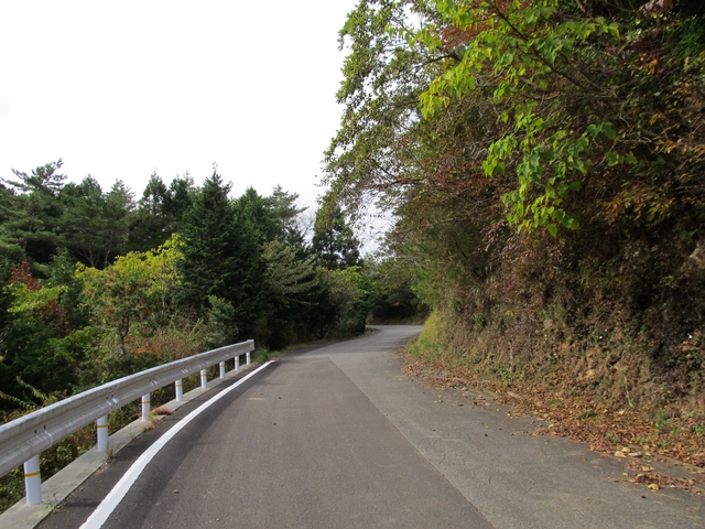 t11_103.jpg