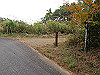 t11_104_thumb.jpg