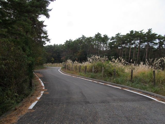 t11_105.jpg