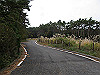 t11_105_thumb.jpg