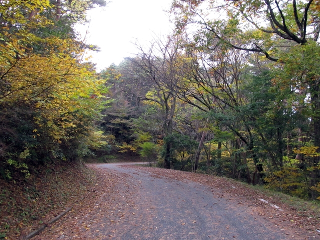 t11_106.jpg