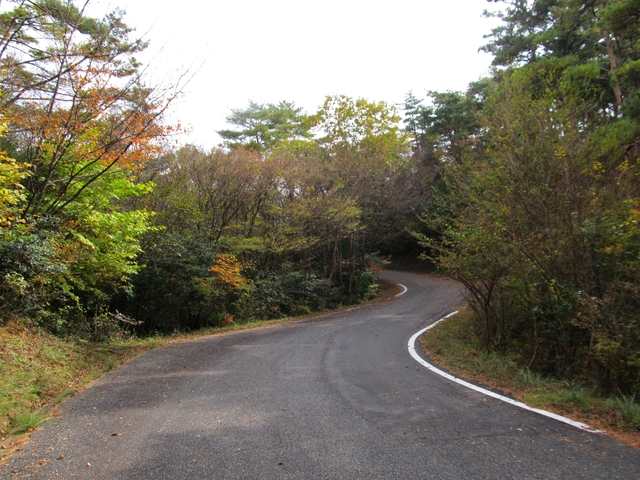 t11_107.jpg