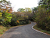 t11_107_thumb.jpg