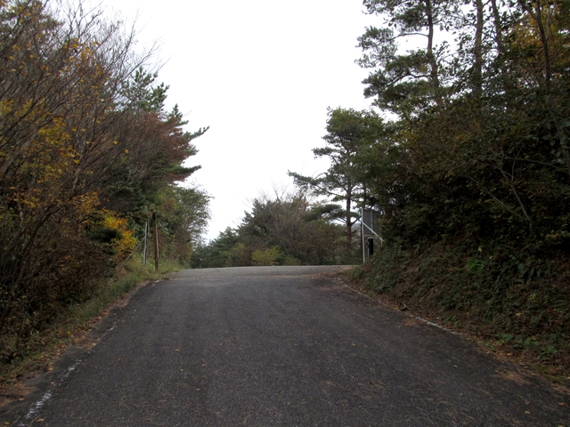 t11_108.jpg