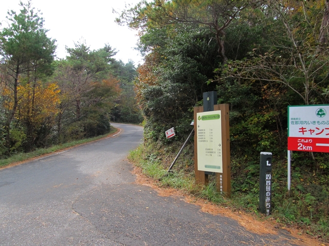 t11_109.jpg