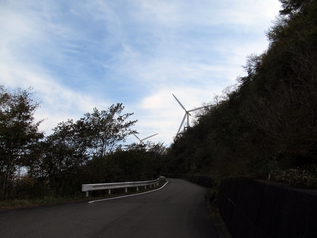 t11_113.jpg