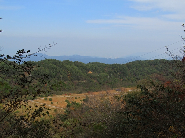 t11_114.jpg