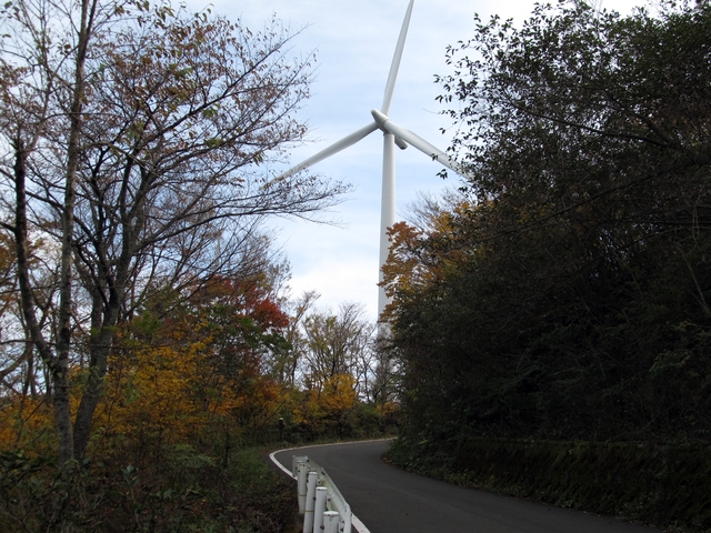 t11_115.jpg