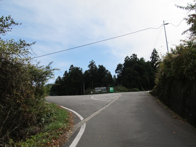 t11_116.jpg
