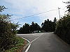 t11_116_thumb.jpg