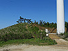 t11_119_thumb.jpg