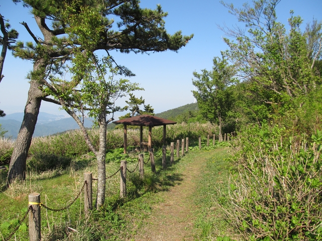 t11_121.jpg