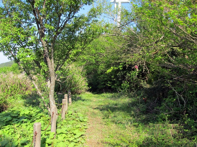 t11_122.jpg