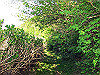 t11_123_thumb.jpg
