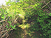 t11_124_thumb.jpg