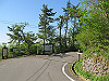 t11_126_thumb.jpg