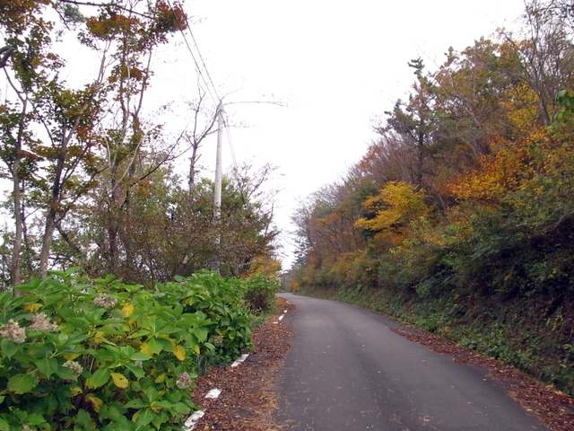 t11_128.jpg