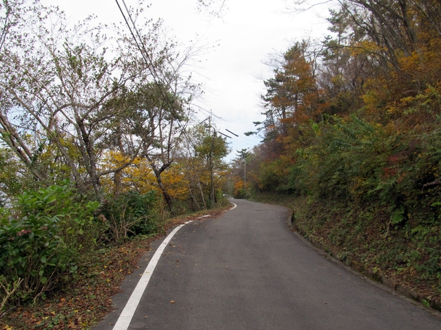 t11_129.jpg