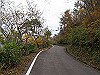 t11_129_thumb.jpg