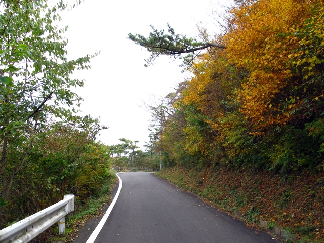 t11_130.jpg
