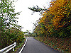 t11_130_thumb.jpg
