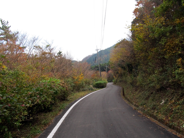 t11_131.jpg