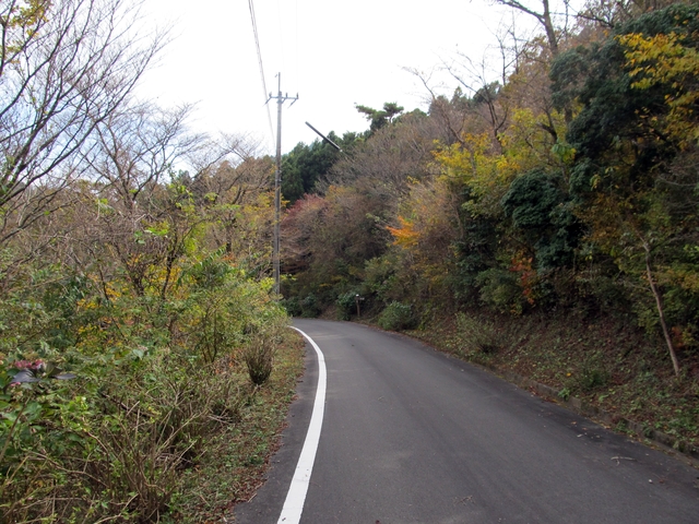 t11_132.jpg
