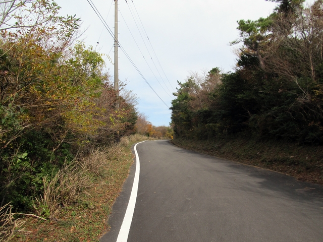 t11_133.jpg