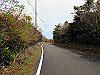 t11_133_thumb.jpg