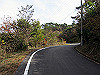 t11_134_thumb.jpg